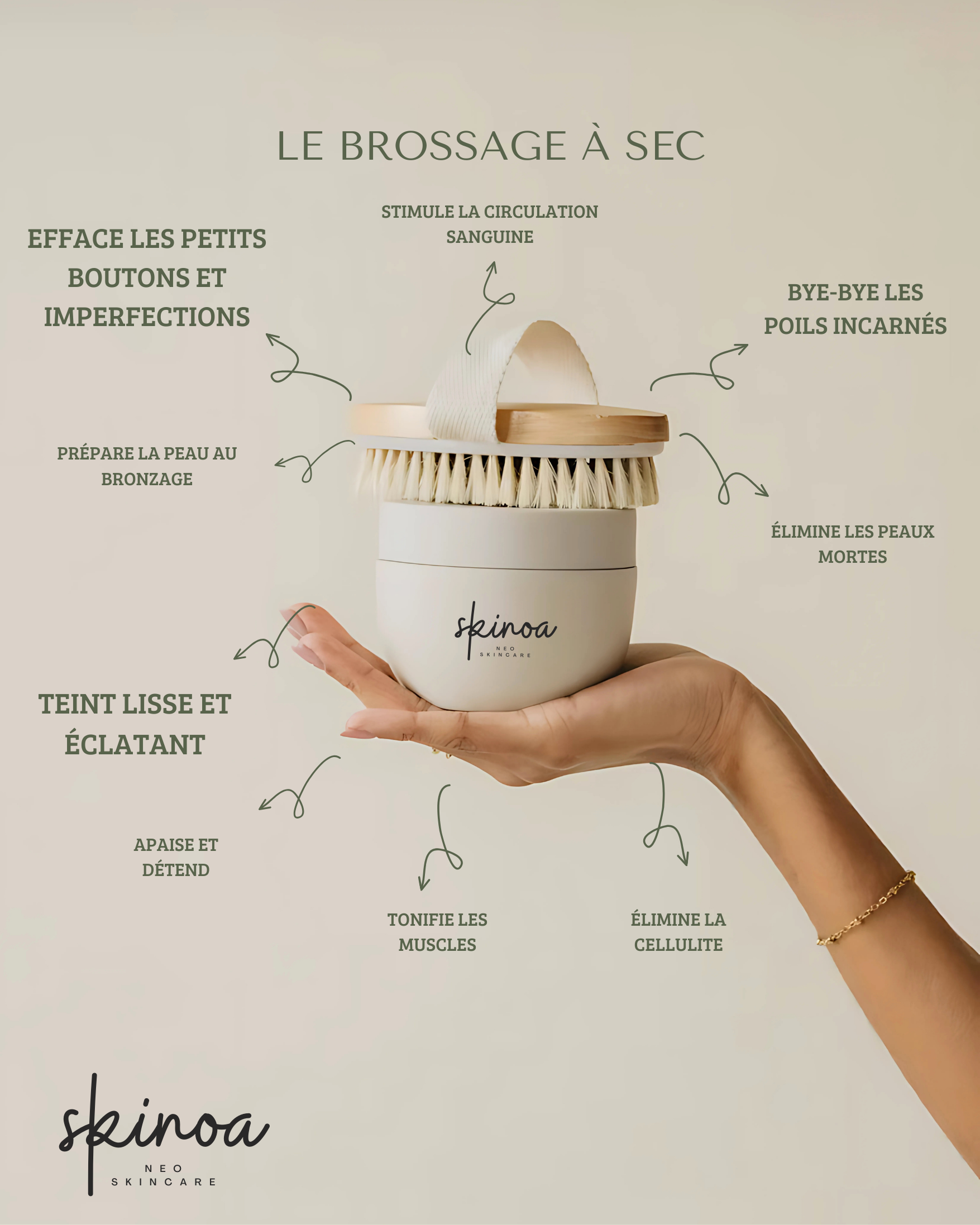 Brosse Sec - Corps