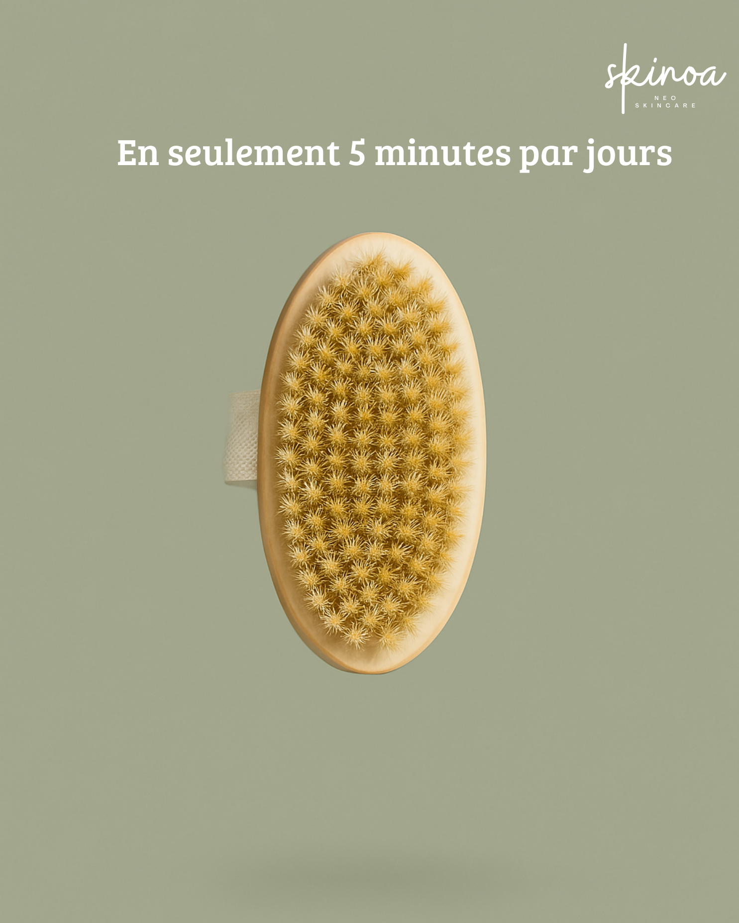 Brosse Sec - Corps